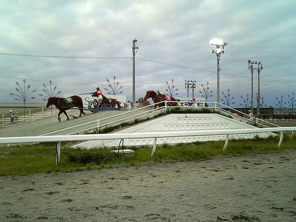 🐎 오비히로 경마장 이미지 1